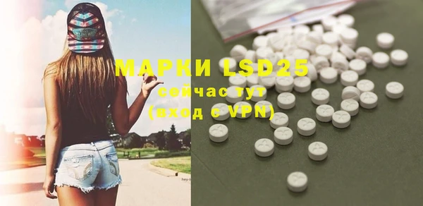 ГАЛЛЮЦИНОГЕННЫЕ ГРИБЫ Кулебаки