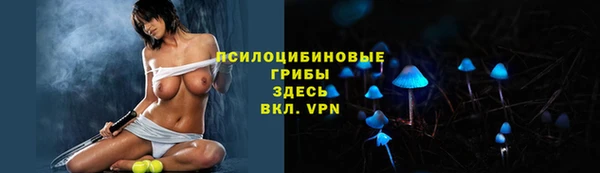 экстази Лагань