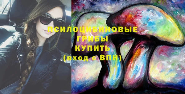 2c-b Лабытнанги