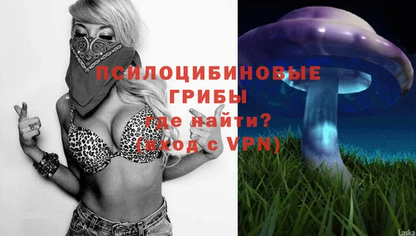 экстази Лагань