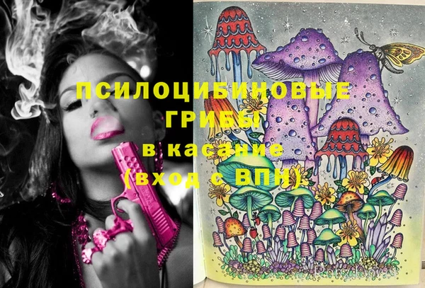 экстази Лагань
