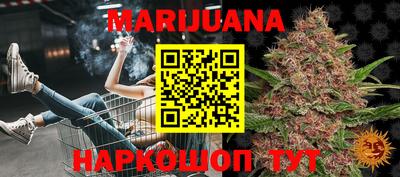мдпв Новозыбков