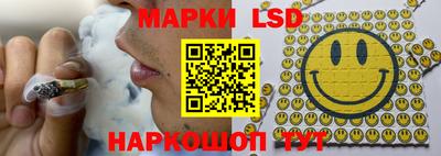 мдпв Новозыбков
