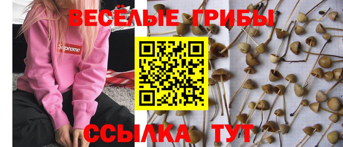 Галлюциногенные грибы MAGIC MUSHROOMS Ухта
