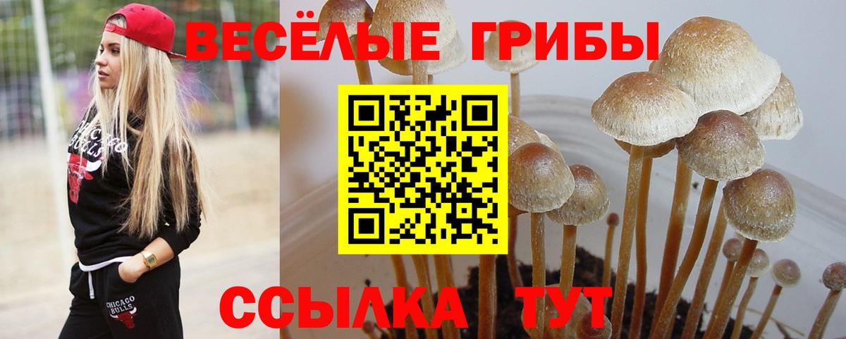 Галлюциногенные грибы Psilocybe  цена наркотик  Ухта  Вход с VPN  Псилоцибиновые грибы Psilocybine cubensis 